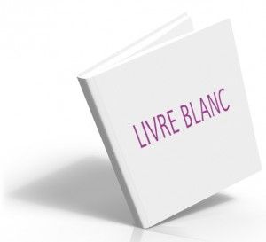 Livre blanc, meilleur moyen de créer des contacts Livre blanc, meilleur moyen de créer des contacts